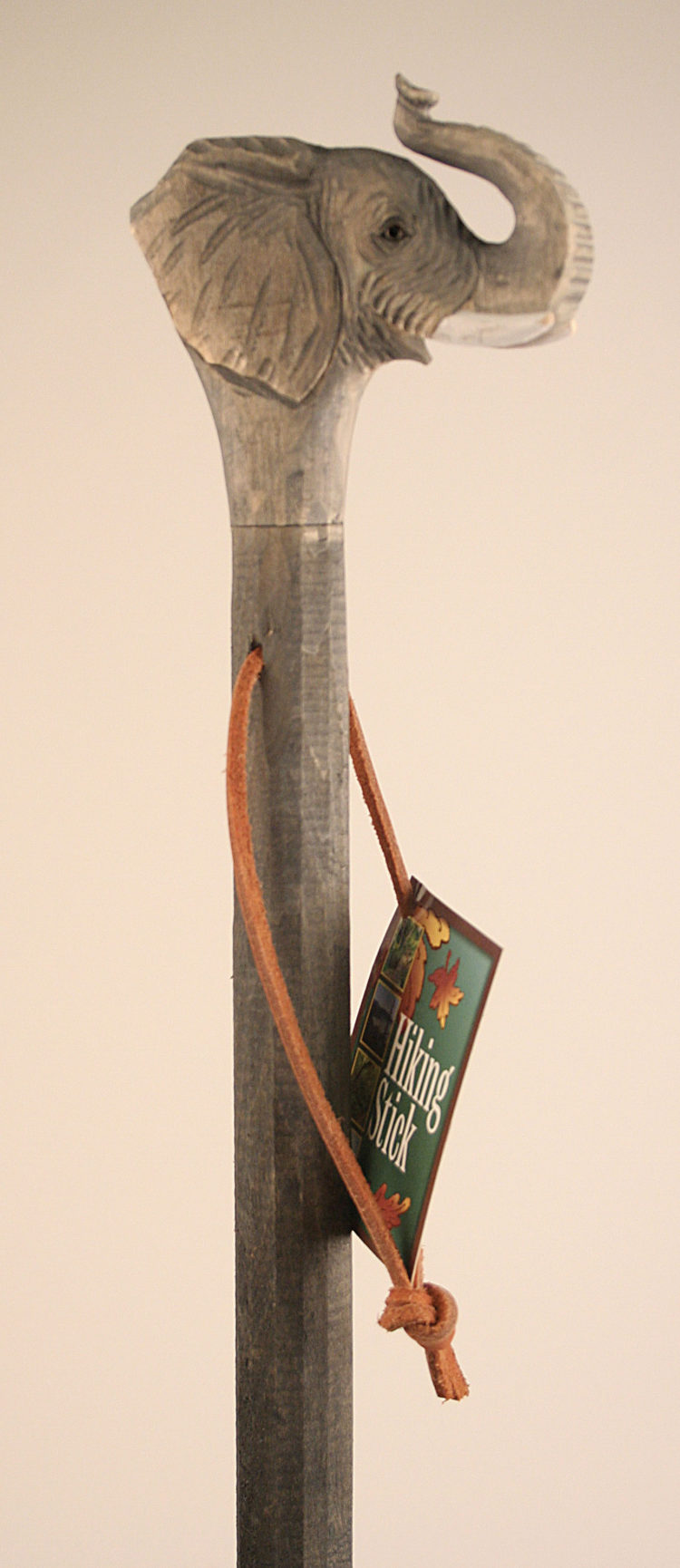 Hiking Stick, Elephant