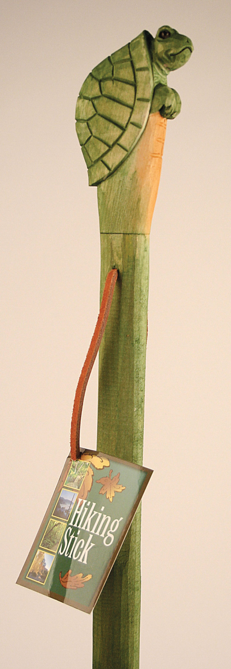 Hiking Stick,  Turtle