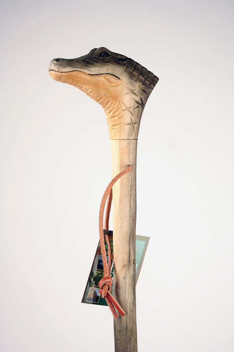 Hiking Stick, American Alligator