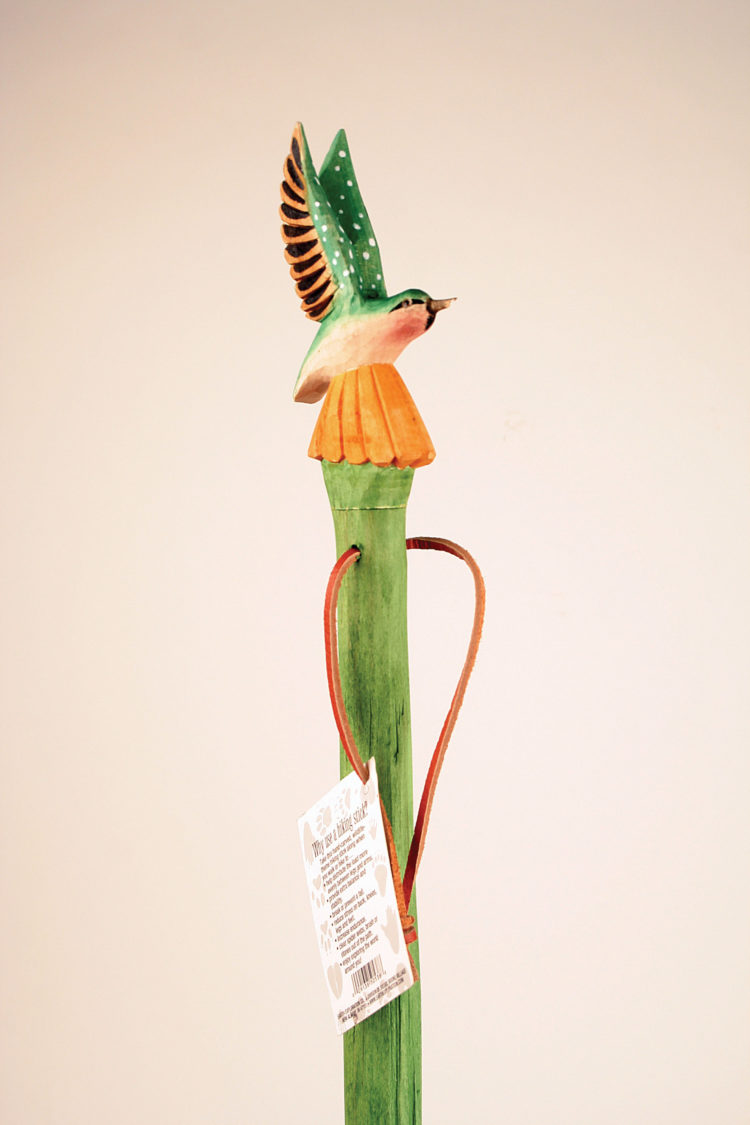 Hiking Stick, Hummingbird